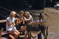 Three women sit on a bench outdoors at Santas Village in1958, one holding a picnic basket. A child in a feathered hat stands petting a donkey with another child nearby. Trees and the fenced Skyforest background complete the scene.
