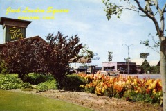 A vintage postcard of Jack London Square in Oakland, California, showcases the Sea Wolf Restaurant sign. In the foreground, blooming flowers and a tree add charm, while additional buildings and signs complete the nostalgic scene in the background.