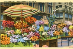 A vibrant flower stand on a San Francisco sidewalk with colorful blooms under a striped umbrella. The assortment includes pink, purple, orange, yellow, and red flowers, set against a backdrop of an old-style building and streetlights.