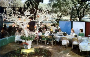 Sugar Plum Tree, Birthday Party, Children's Fairyland, Oakland, California      