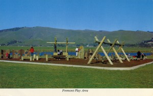Fremont California Play Area                                  